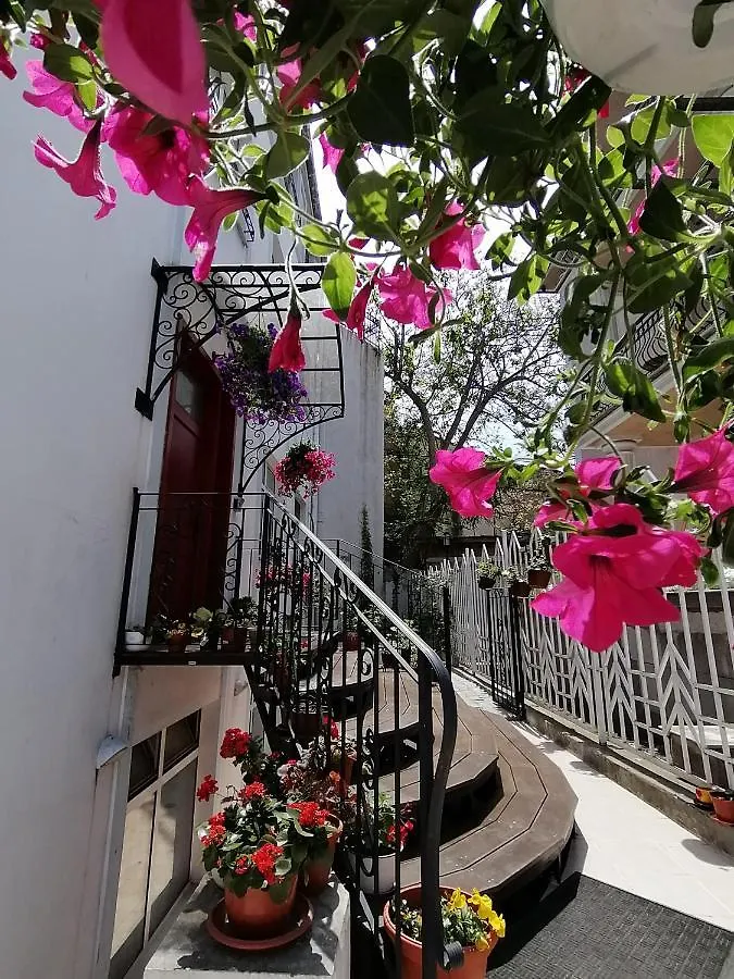 City Boutique Inn Varna